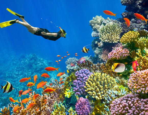 Sharm El Sheikh
