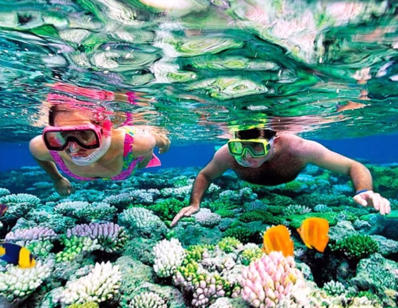 Private Snorkeling Trip from El Gouna