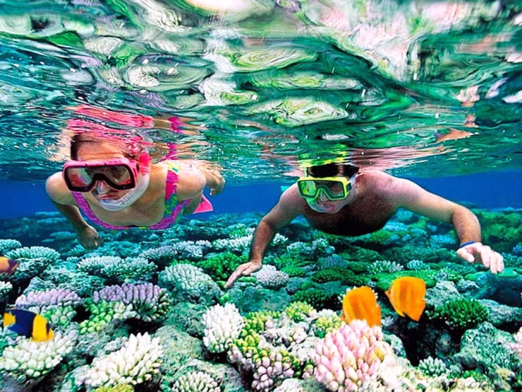 Private Snorkeling Trip from El Gouna