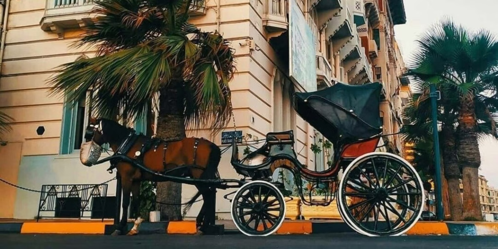 Horse & Carriage tour in Luxor & Aswan