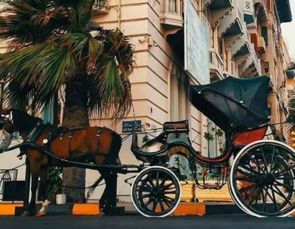 Horse & Carriage tour in Luxor & Aswan