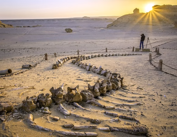 El Fayoum Oasis