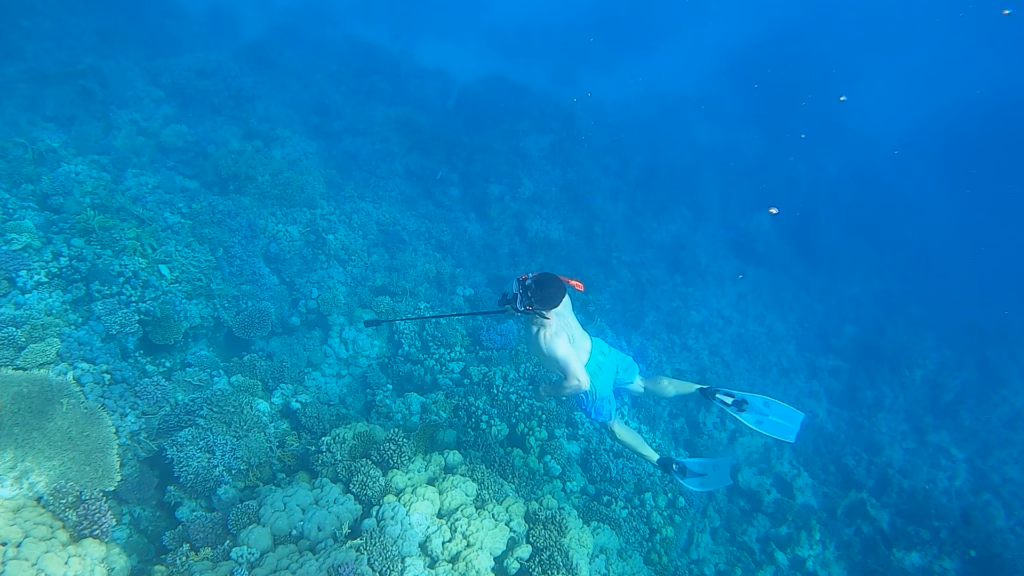 Snorkeling On the Red Sea with book Egypt Travel