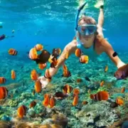 Egypt Itinerary with Red Sea & Nile Cruise Price
